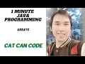 1 MINUTE JAVA PROGRAMMING ARRAYS Cat Can Code