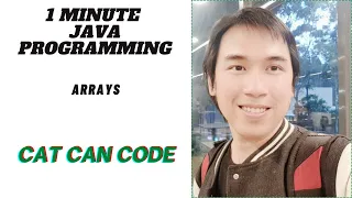 1 MINUTE JAVA PROGRAMMING ARRAYS Cat Can Code