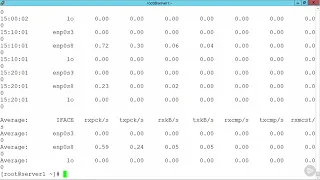 35 Creating System Activity Reports