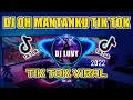 Download Lagu DJ OH MANTANKU TIK TOK TERBARU 2K22