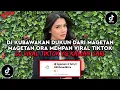 Download Lagu DJ KUBAWAKAN DUKUN DARI MAGETAN MAGETAN ORA MEMPAN | DJ NGAMEN 4 VIRAL TIKTOK TERBARU 2025