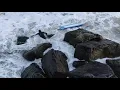 Surfer gets swept into Jetty Long Beach NY