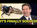 Florida Released a Rodent That Kills Pythons From the Inside What Happened Next Is INSANE