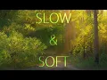Soft Background Music | Slow and Gentle Instrumental for Relaxed Videos and Voiceovers