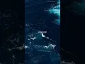 Download Lagu 🌃 One Night in Dubai – Arash | Desert Nights \u0026 City Lights ✨ | #lyrics #Arash #OneNightInDubai