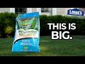 This 25 Bag of Lowe s Fertilizer is THE END of Milorganite