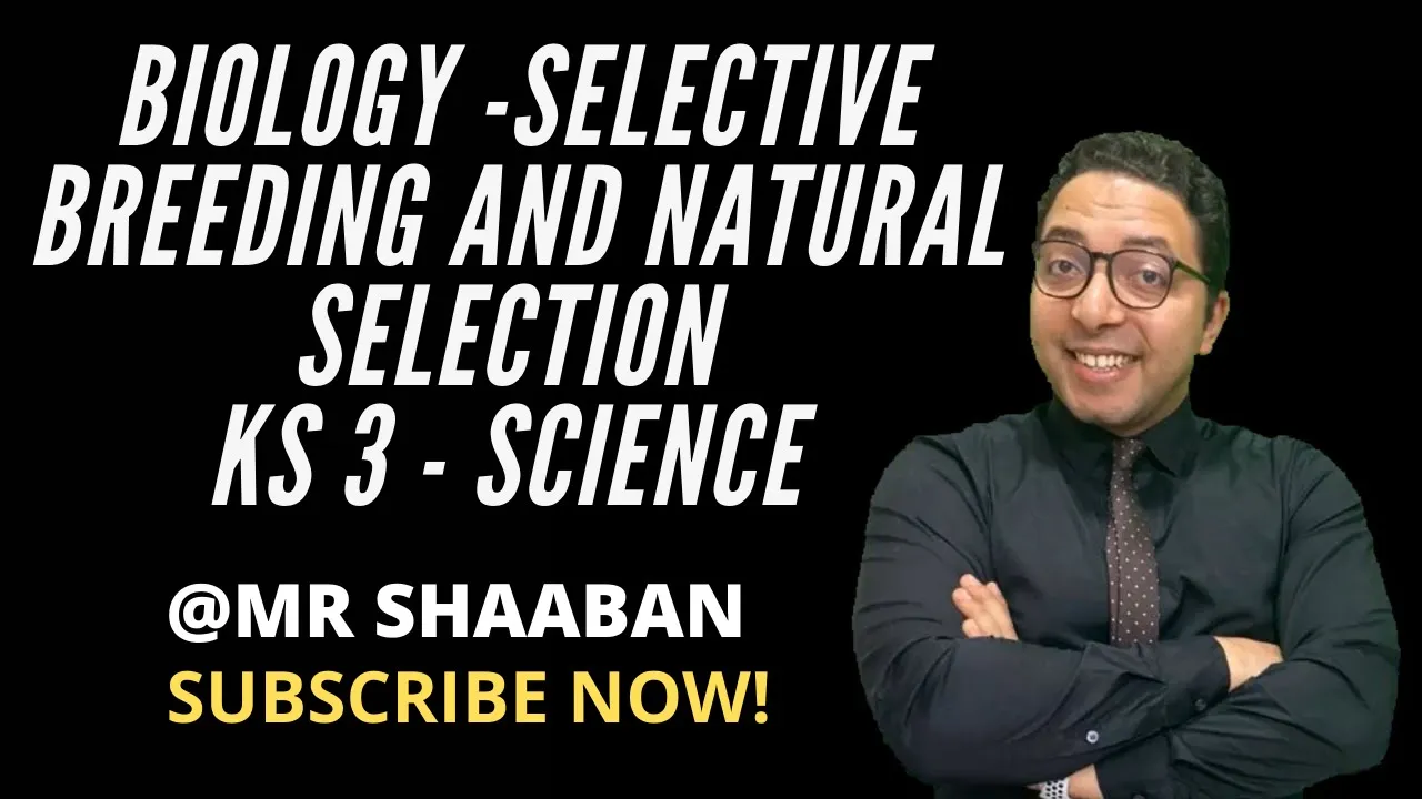 KS 3 - selective breeding and natural selection