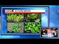 Seasonal allergy sufferers now on alert in Middle Tennessee