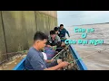 Lagu Câu Cá Ở Trụ Cầu Đại Ngãi 2 Ngây Nước Cá Ăn Đã Tay | Cù Lao Dung Vlogs
