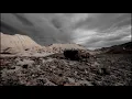 Vibfy - Still Here