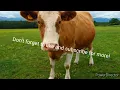 Glen Campbell - Rhinestone Cowboy 1 Hour