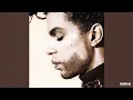 Prince 1999 (Edit) Audio +0.5 Version