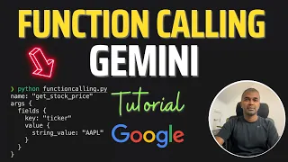 Google Gemini Function Calling EASILY Integrate your OWN Function