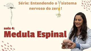 Entenda o sistema nervoso DO ZERO: Aula 4 - Medula Espinal