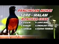 Download Lagu 🔴 LIVE 05 - Pancingan Murai Batu Pagi Hari Full Isian Tembakan kasar Murai Macet Pasti Nyaut
