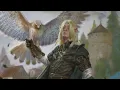 What They Don t Tell You About Half-Elves - D D