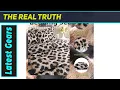 SDY Leopard Bedding Wild Style Cozy Feel