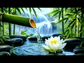 Ultimate Relaxation Soothing Spa Sounds for Deep Sleep Stress Relief
