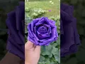 How to make Rose from paper flower making with paper purple paper rose