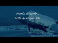 Download Lagu Bianca Balena (cover E. Ruggeri) - BluMovida Band