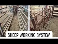 Sheep Working System