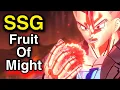 SSG With FRUIT Of MIGHT Buff Is OVERPOWERED Dragon Ball Xenoverse 2
