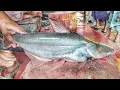 Download Lagu Captivating Pangasius Fish Cleaning and Cutting into Pieces - Step-by-Step Guide