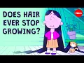 How long can hair grow - Maksim Plikus