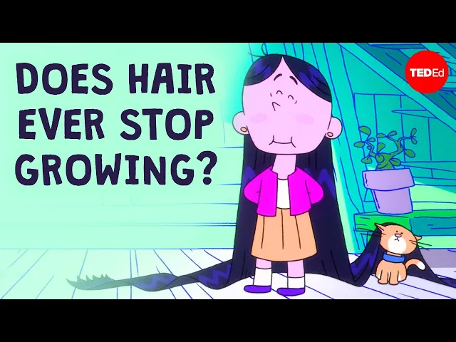 Video: How long can hair grow? - Maksim Plikus