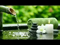Sleep and Spa Music Quiet Bamboo Water for Sleep Study and Meditation Sleep Study and Spa