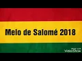 Download Lagu Melô de Salomé 2018(Leo do reggae)