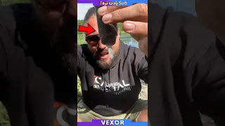 جدید ترین و مهم ترین ابزار ماهی گیری 