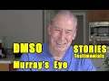 Murray s Blind Eye starts working after DMSO