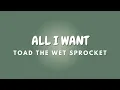 ALL I WANT + Lyrics | TOAD THE WET SPROCKET