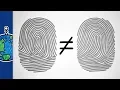 Why Are Your Fingerprints Unique