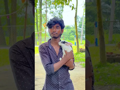 পিংকির আসল গল্প | 🐇🥺 | #minivlog #vlog