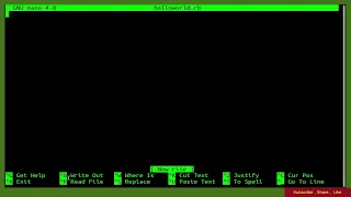 Ruby Hello World Example - How To Write and Execute Ruby Program on Ubuntu 20 04
