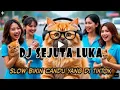 Lagu SEJUTA LUKA || COVER DJ SLOW BASS MANTULL