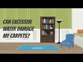 Water Damage and Carpet Cleaning - Concord Carpet and Rug Experts