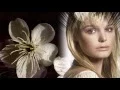 Download Lagu Я любил тебя. Олег Пахомов -I loved you Oleg Pakhomov