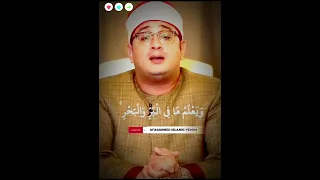 Qari Mahmood Shahat Anwar AfaqAhmed Islamic Vedios Fypシ Viral Shorts 
