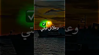 يالجوجا يالعمية علاش خنتي الميزان Music Algerie Youtubeshorts 