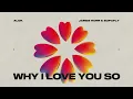 Alok, James Hurr & Supafly - Why I Love You So (Official Visualizer)