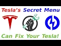 Tesla s Secret Service Menu