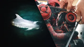 Essential MARINE DIESEL Maintenance, AND WHATS THAT UNDER OUR BOAT?? | Wildlings Sailing | Leg 18