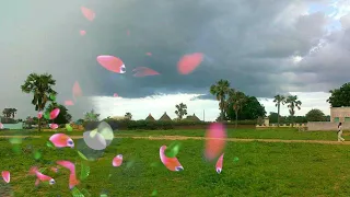 اغاني اولاد نيالا التسعينات عطاف نيالا 