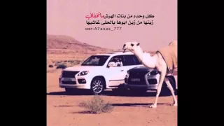 شيلة عز  يا روس على العليا   أداء شبل الدواسر  طرب دندنها