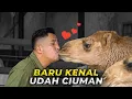 Download Lagu COBA MENCIUM TA* UNTA MALAH BERAKHIR CIUMAN LANGSUNG SAMA UNTA!