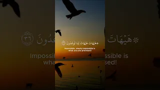 ياسر الدوسري هيهات هيهات لما توعدون سورة المؤمنون Quran Yasser Al Dosari 
