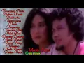 Download Lagu Rhoma Irama Senandung Rindu Full Album 2021 480p